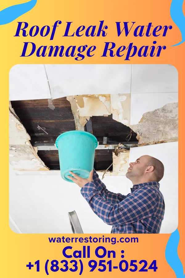 Roof Leak Water Damage Repair in Douglas, NE