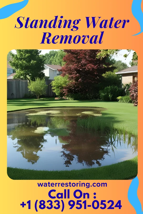 Standing Water Removal in Douglas, NE